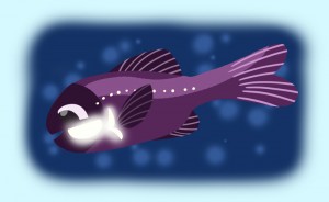 flashlight fish